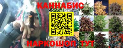 гидра Наро-Фоминск
