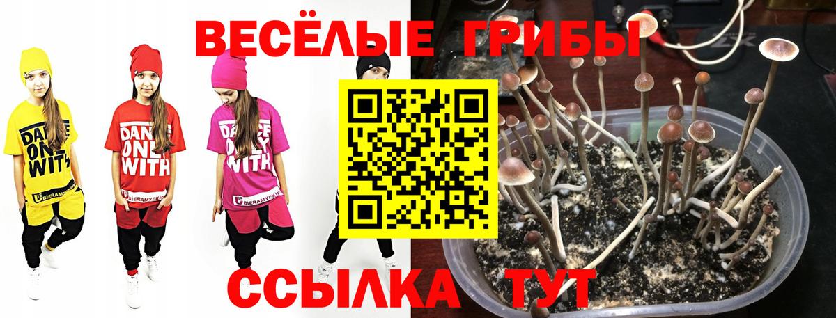 Урай  Галлюциногенные грибы Magic Shrooms  Вход с VPN 